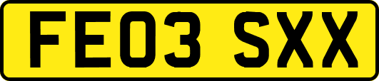 FE03SXX