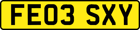 FE03SXY
