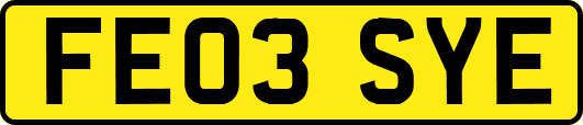 FE03SYE