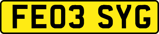 FE03SYG