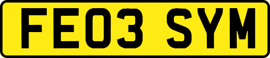 FE03SYM