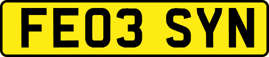 FE03SYN