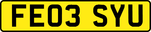 FE03SYU