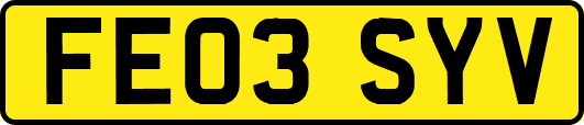 FE03SYV