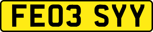 FE03SYY
