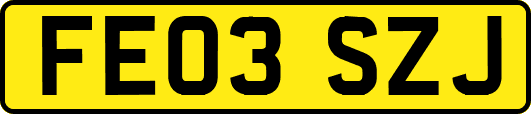 FE03SZJ