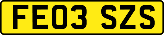 FE03SZS