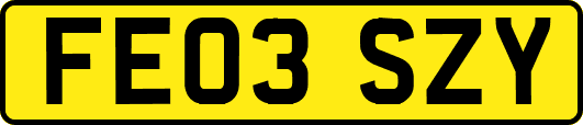 FE03SZY