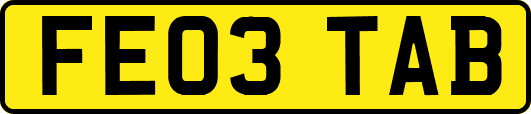 FE03TAB