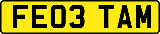 FE03TAM