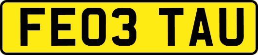 FE03TAU