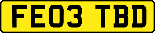 FE03TBD