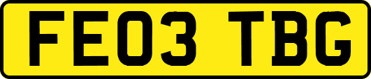 FE03TBG