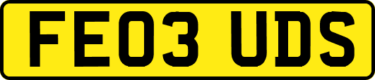 FE03UDS