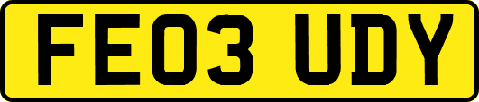 FE03UDY