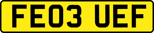FE03UEF