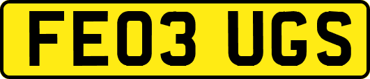 FE03UGS
