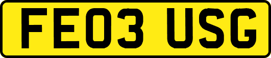 FE03USG
