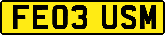 FE03USM
