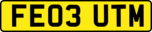 FE03UTM