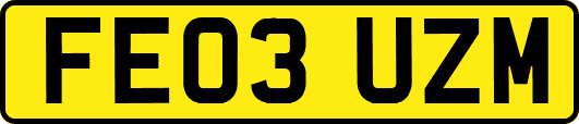 FE03UZM