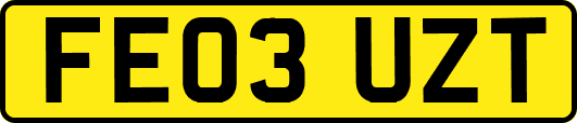 FE03UZT