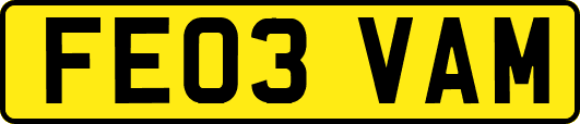 FE03VAM
