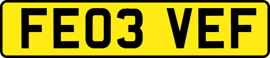 FE03VEF