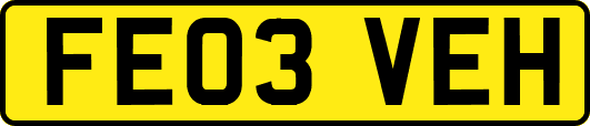 FE03VEH