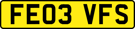 FE03VFS