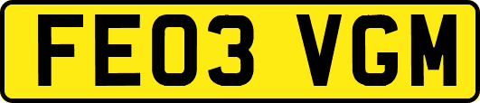 FE03VGM