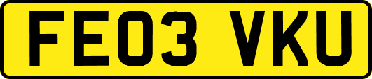 FE03VKU