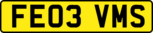 FE03VMS