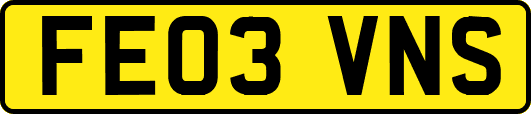 FE03VNS