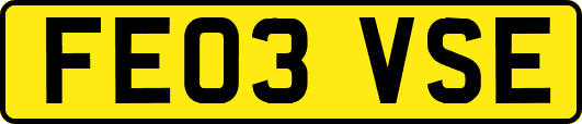 FE03VSE