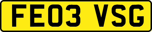 FE03VSG