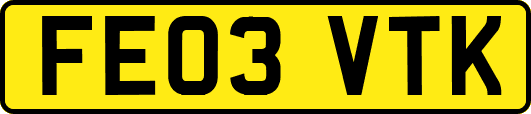 FE03VTK