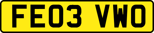FE03VWO