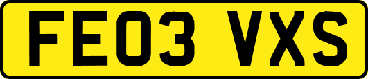 FE03VXS