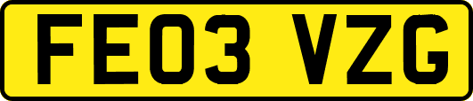 FE03VZG