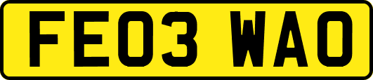 FE03WAO