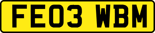 FE03WBM