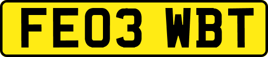 FE03WBT