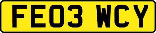 FE03WCY