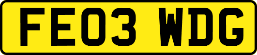 FE03WDG