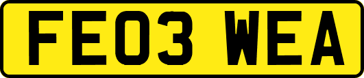 FE03WEA