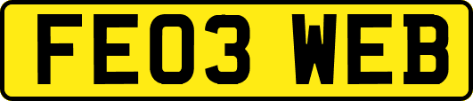 FE03WEB