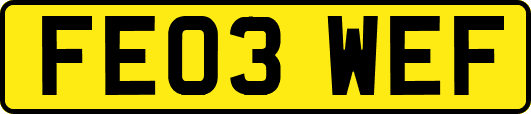 FE03WEF