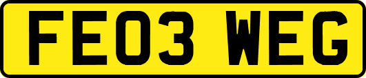 FE03WEG