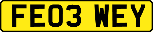 FE03WEY